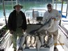 (06/22/2018) - Nice Striped Bass